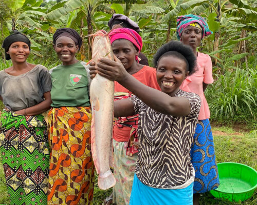 Amahoro Women Cooperative-Turning Fish Farming into Lasting Change in Huye District